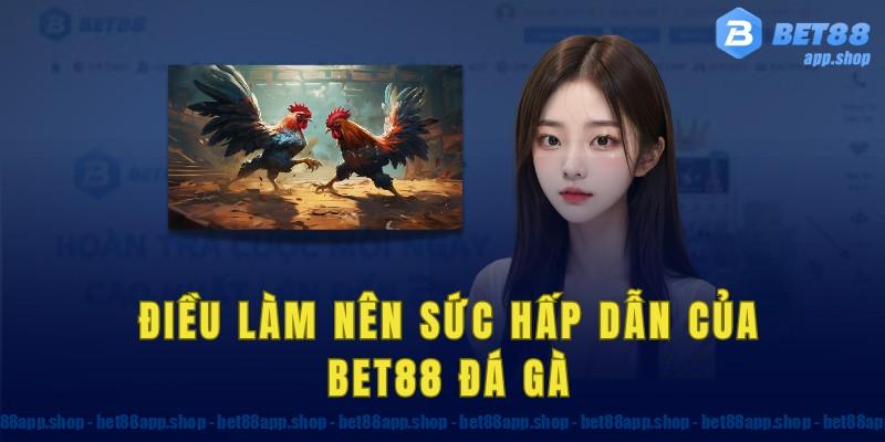 Điều làm nên sức hấp dẫn của bet88 đá gà